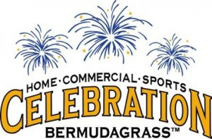 celebration logo