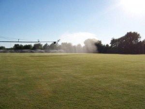 Celebration Bermuda Grass field on our farm.