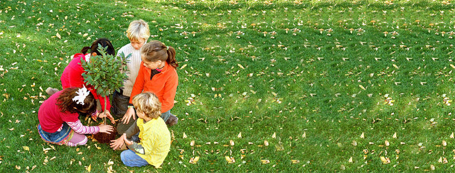 Benefits of a Healthy Lawn