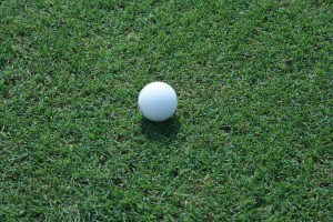 CelebHiltonHeadSC79PIC-300x200